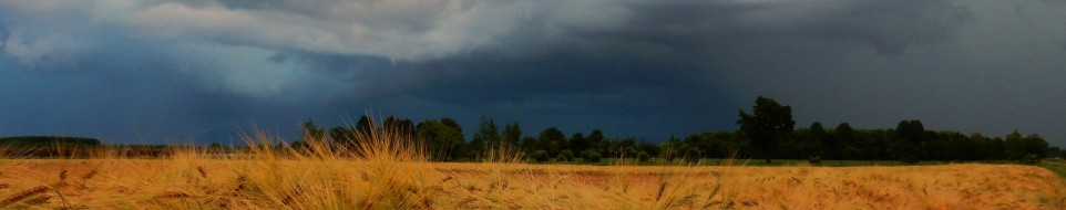 Valentino Bertossi - Contrasts, another storm is coming